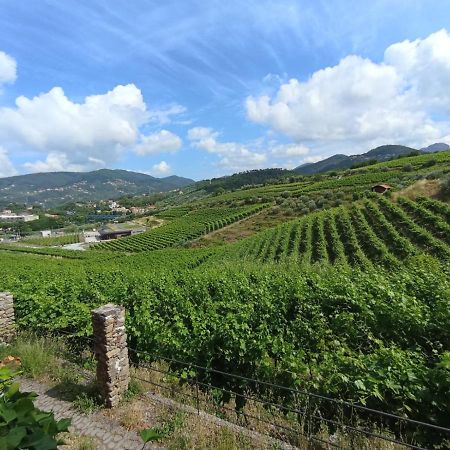 Al Vigneto Lejlighed Sestri Levante Eksteriør billede