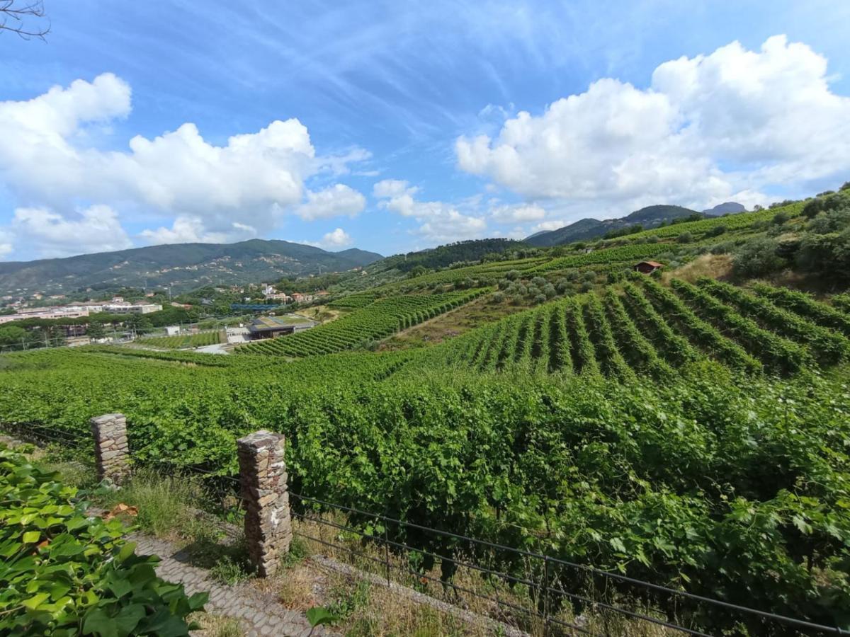 Al Vigneto Lejlighed Sestri Levante Eksteriør billede