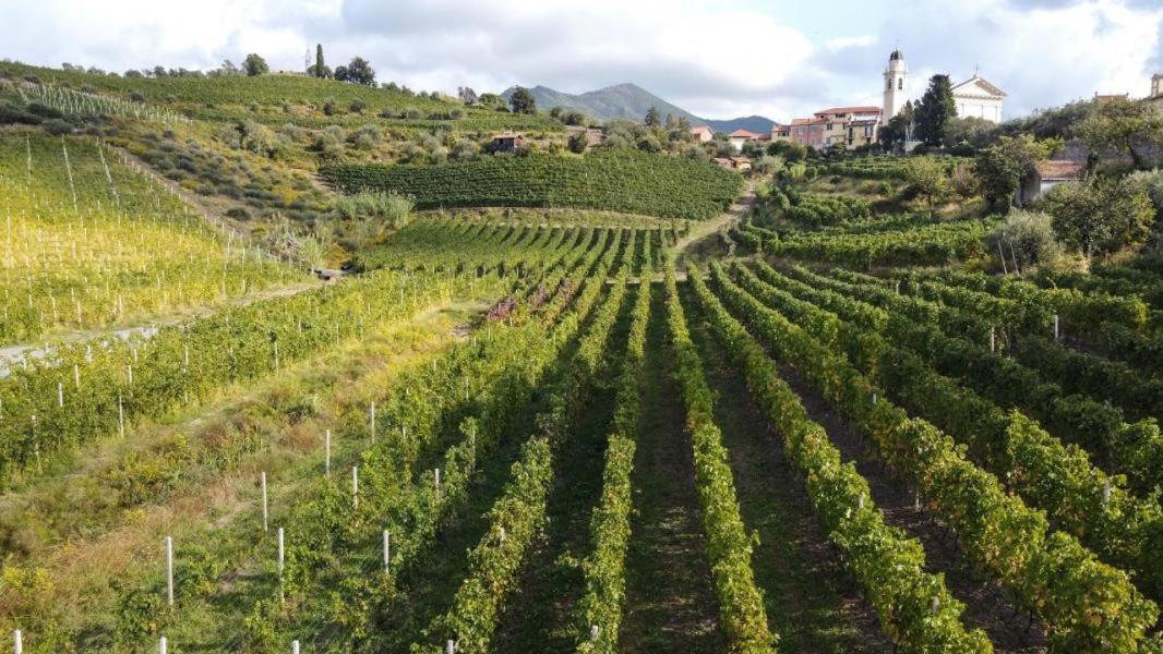 Al Vigneto Lejlighed Sestri Levante Eksteriør billede