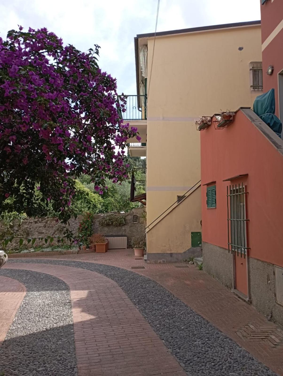 Al Vigneto Lejlighed Sestri Levante Eksteriør billede